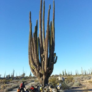 Baja 2014