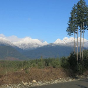 IMG_3135