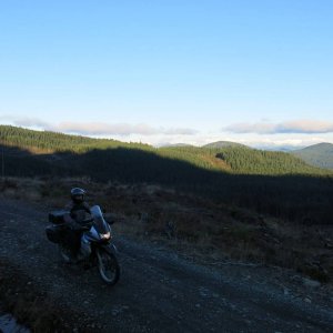 IMG_3141