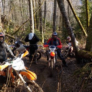 bbb trail january 2015