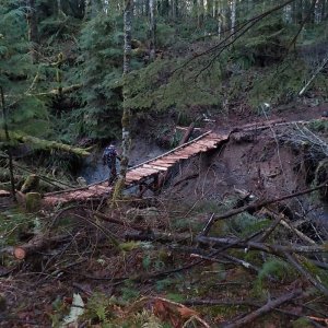bbb trail january 2015