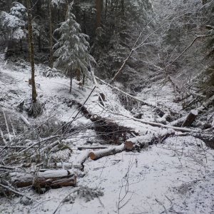 bbb trail january 2015