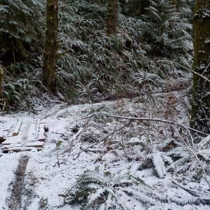bbb trail january 2015