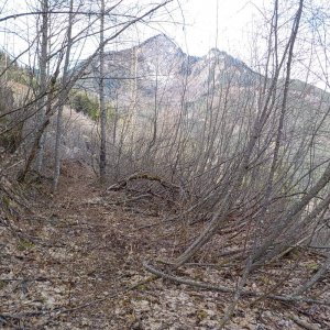 Parish Hill 2015