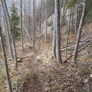 Parish Hill 2015