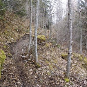 Parish Hill 2015
