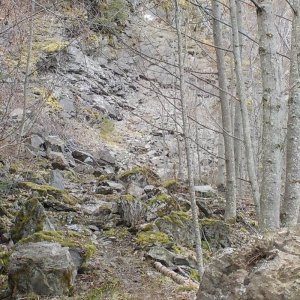 Parish Hill 2015