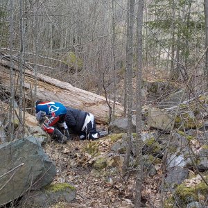 Parish Hill 2015