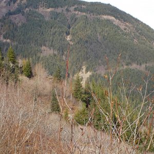 Parish Hill 2015