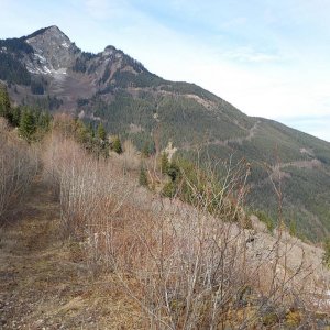 Parish Hill 2015