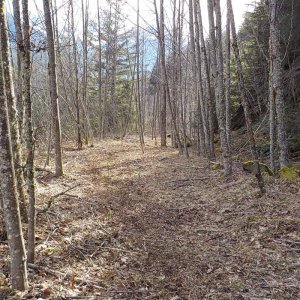 Parish Hill 2015