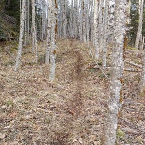 Parish Hill 2015