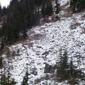 Parish Hill 2015
