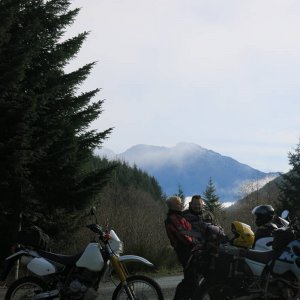 IMG_3301