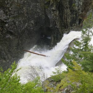 IMG_3501