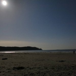 IMG_3582