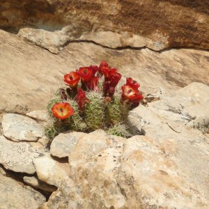 P1110127