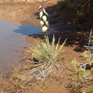 P1110028