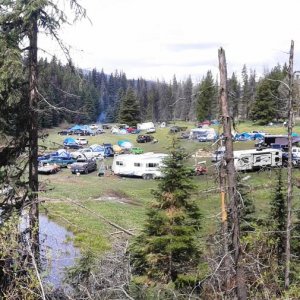 Murray Lake group site