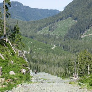 IMG_3776