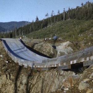 bedspring_bridge_may59brenfrewsm
