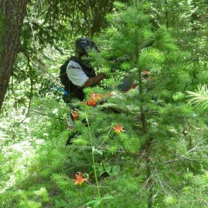 P1120259