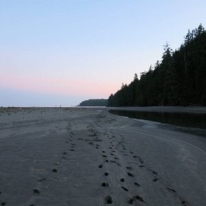 IMG_3858