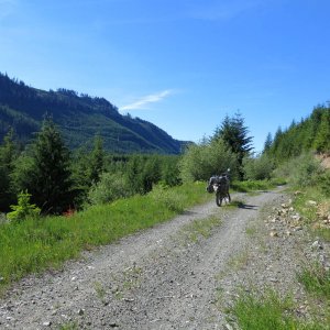 IMG_3877