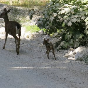 IMG_3913