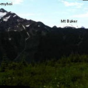 Border Trail View