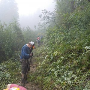Bridal Falls Trail 2015