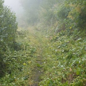 Bridal Falls Trail 2015