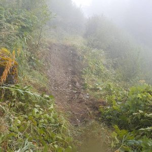 Bridal Falls Trail 2015