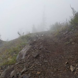 Bridal Falls Trail 2015