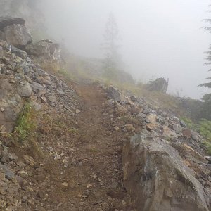 Bridal Falls Trail 2015