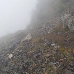 Bridal Falls Trail 2015