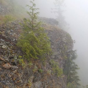 Bridal Falls Trail 2015