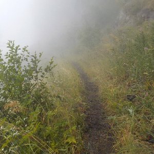 Bridal Falls Trail 2015