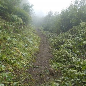 Bridal Falls Trail 2015