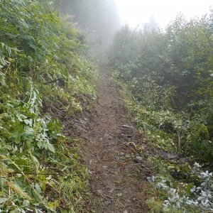 Bridal Falls Trail 2015