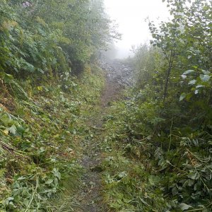 Bridal Falls Trail 2015