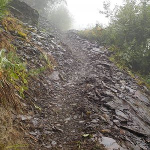 Bridal Falls Trail 2015