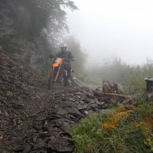 Bridal Falls Trail 2015