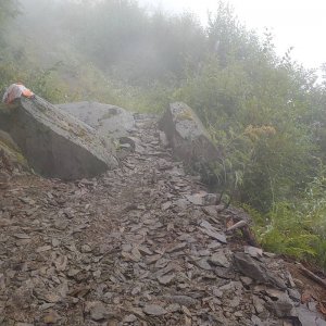 Bridal Falls Trail 2015