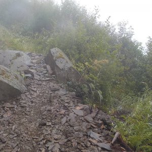 Bridal Falls Trail 2015