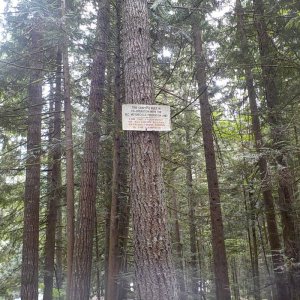 Chipmunk Peninsula Campground