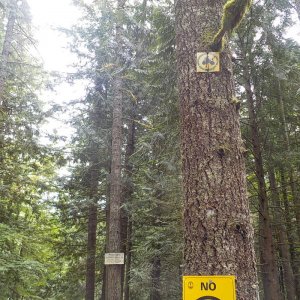 Chipmunk Peninsula Campground
