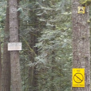 Chipmunk Peninsula Campground
