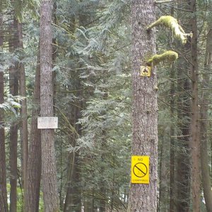 Chipmunk Peninsula Campground