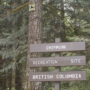 Chipmunk Peninsula Campground